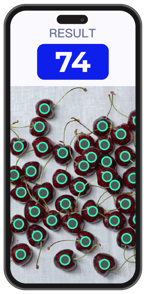 农业从业者信赖的必备计数之选。CountAnything 将清点各类农产品这一复杂任务化繁为简，让谷物、蔬菜、水果等各类农产品的数量统计变得便利。